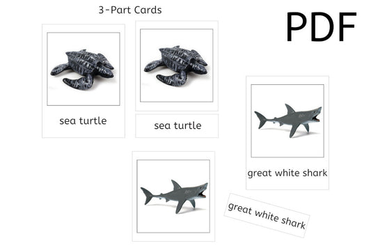 12 Marine Animals 3-Part Cards (PDF)