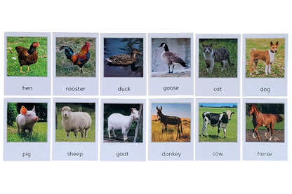 12 printed farm animal 3-part cards: hen, rooster, duck, goose, cat, dog, pig, sheep, goat, donkey, cow, and horse.