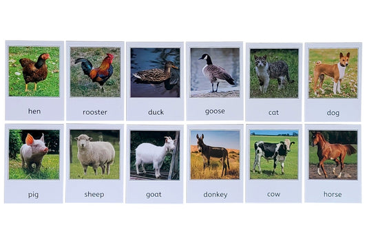 12 printed farm animal 3-part cards: hen, rooster, duck, goose, cat, dog, pig, sheep, goat, donkey, cow, and horse.