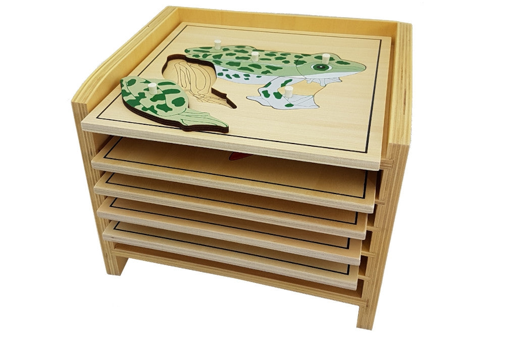 IFIT Montessori: 5 Animal (with Skeleton) Puzzles with Cabinet