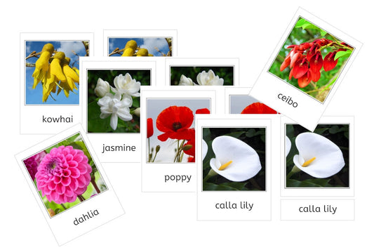 World Flowers 3-Part Cards Bundle (PDF)