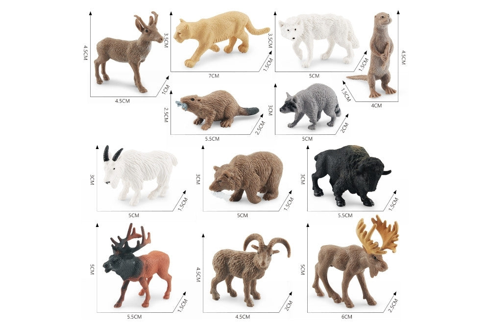 12 Animals of North America Models with 2-Compartment Tray and Cards