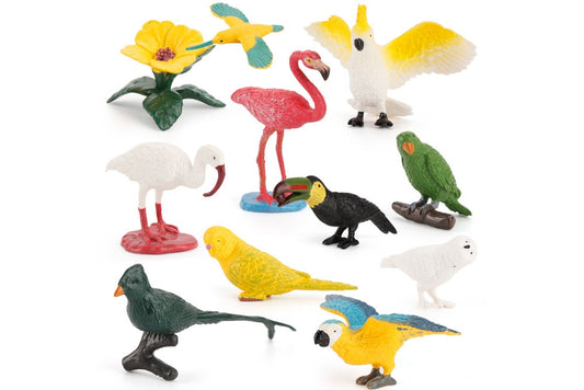 10 Bird Models