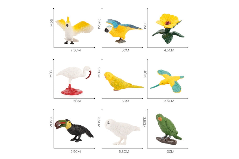 Bird model measurements. Length ranges 3-7.5 cm.