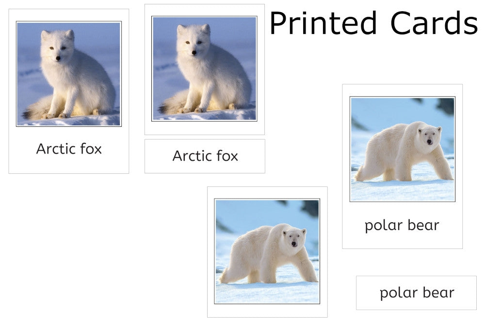 Arctic Set 3-Part Cards