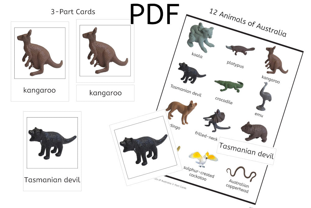 12 Animals of Australia 3-Part Cards (PDF)