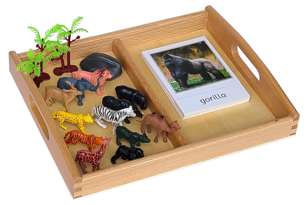 12 Wild Animal Models with Tray and Cards