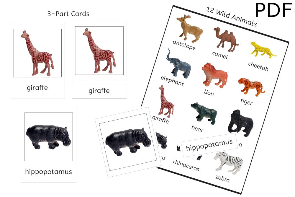 12 Wild Animals 3-Part Cards (PDF)