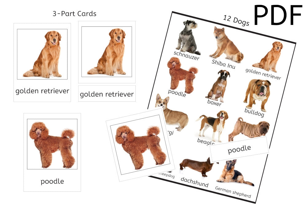 12 Dogs 3-Part Cards (PDF)