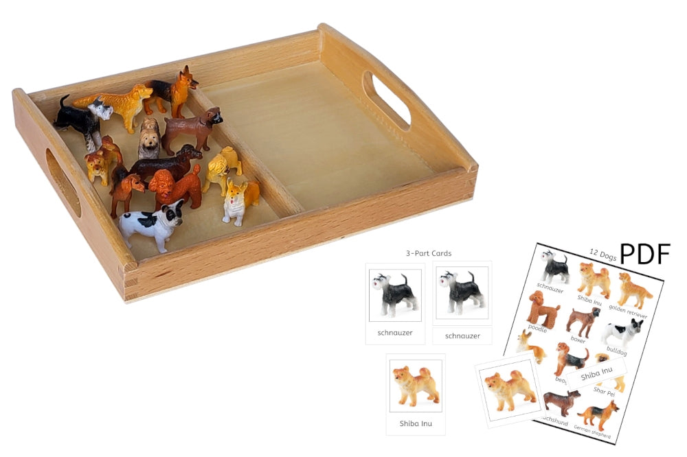 12 Dog Models with 2-Compartment Tray and PDF Cards