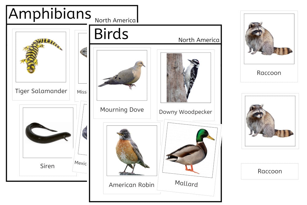 Vertebrates of North America (PDF)