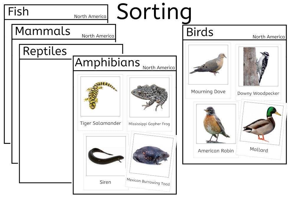 Vertebrates of North America (PDF)