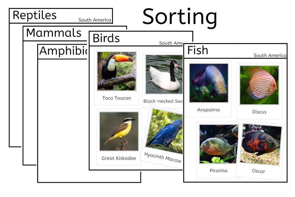 Vertebrates of South America (PDF)