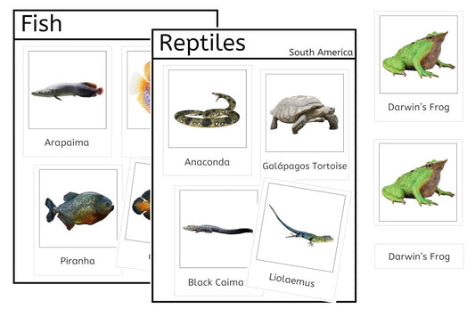 Vertebrates of South America (PDF)