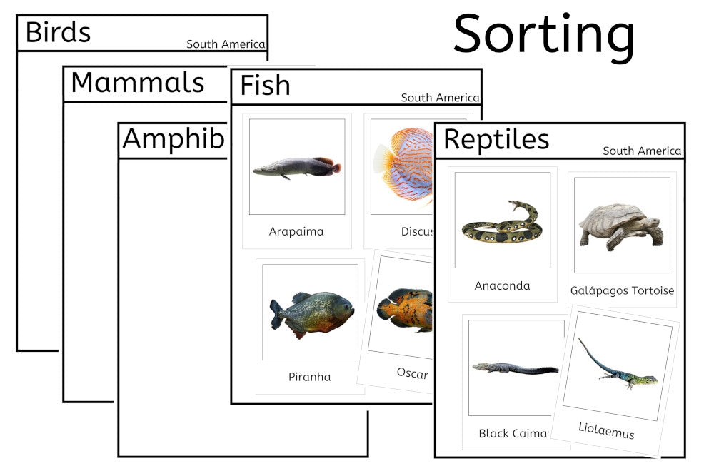 Vertebrates of South America (PDF)