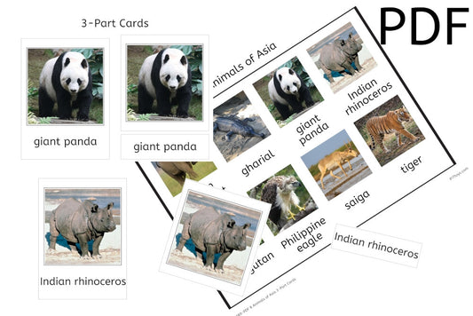 8 Animals of Asia 3-Part Cards (PDF)