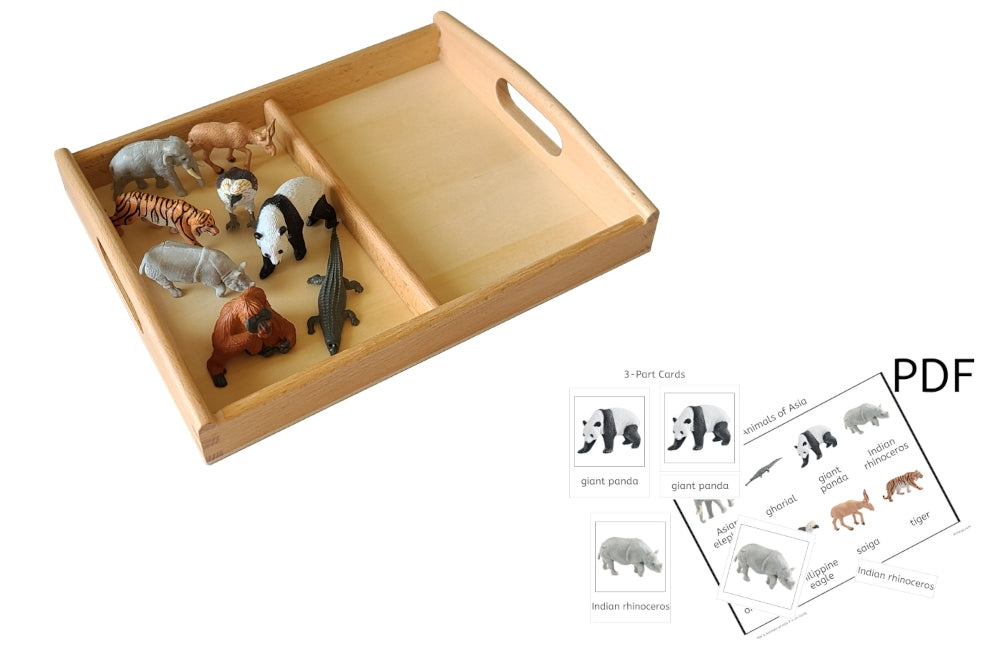 8 Animals of Asia Models with Tray and PDF Cards