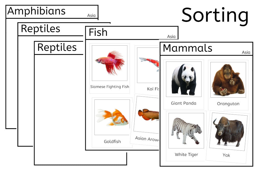 Vertebrates of Asia (PDF)