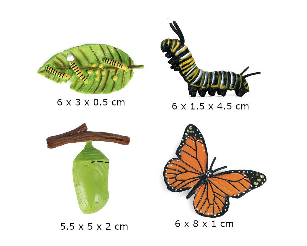 Monarch Butterfly Life Cycle with Sorting Tray