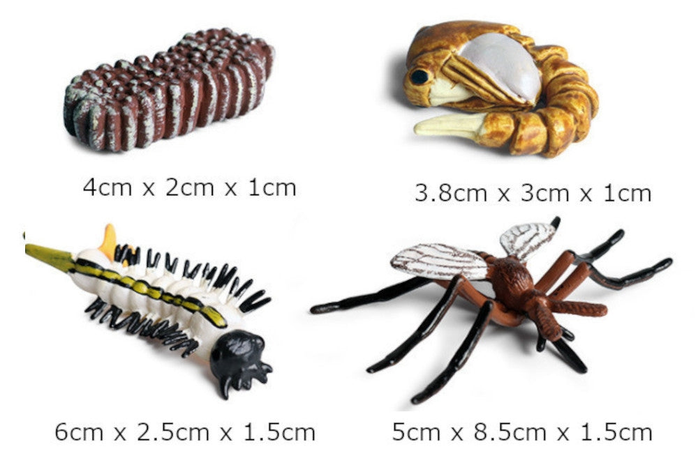 Life Cycle of a Mosquito with Tray