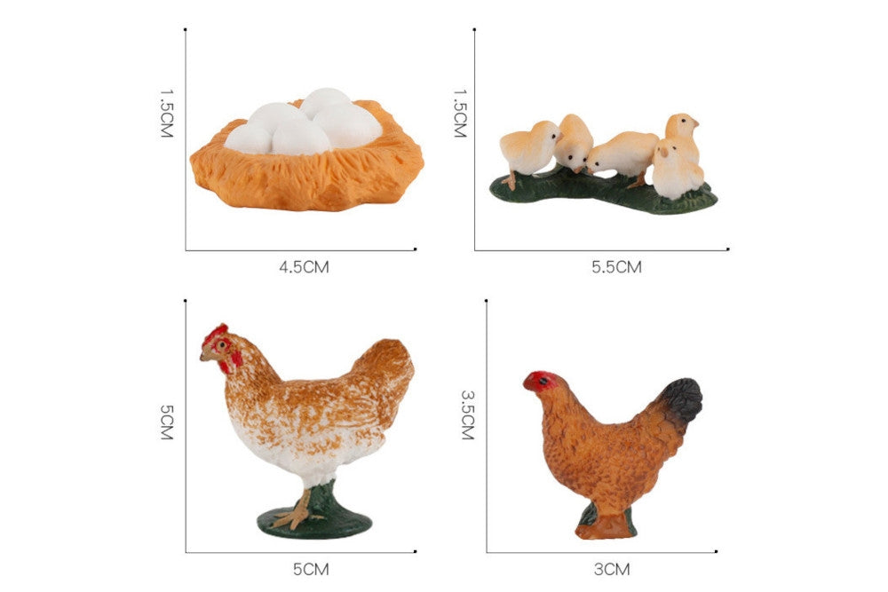 Models of Hen Life Cycle with Tray and PDF set