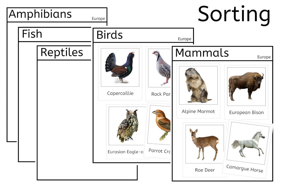 Vertebrates of Europe (PDF)