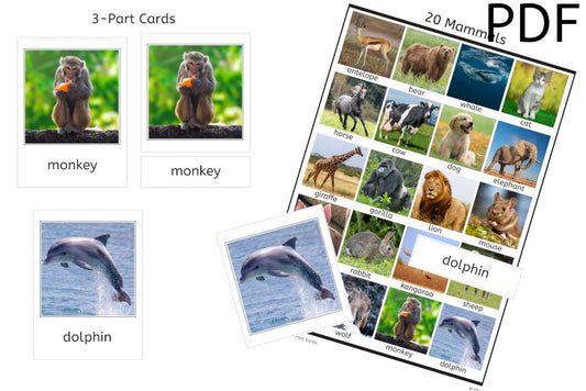 Mammals 3-Part Cards (PDF)