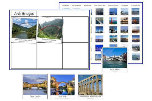 Types of Bridges Sorting Cards (PDF)