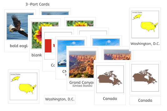 North America 3-Part Cards Bundle (PDF)