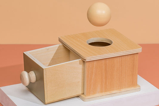 IFIT Montessori: Imbucare Box with Ball