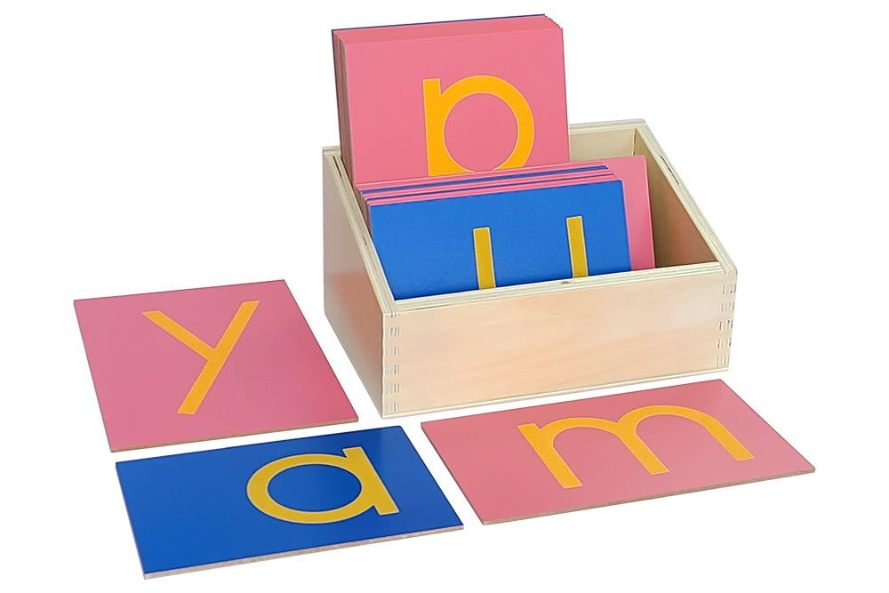 Pink and blue print lowercase sandpaper letters in a wooden box. Letters spelling "yam" are laid out around the box.