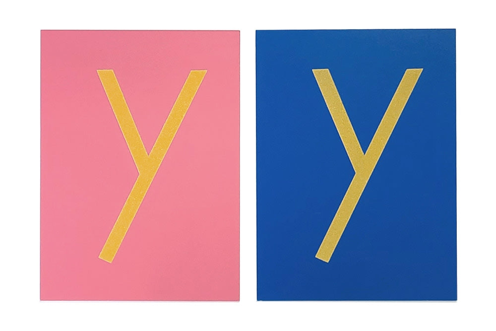 One pink and one blue lowercase print sandpaper letter 'y'. 