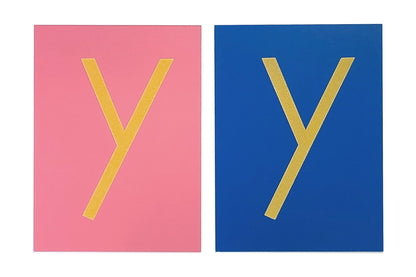 One pink and one blue lowercase print sandpaper letter 'y'. 
