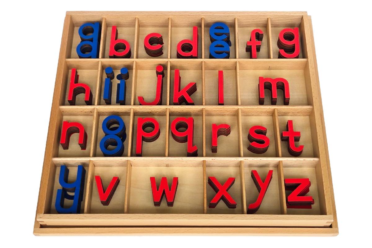 Movable Alphabet with Box - Print