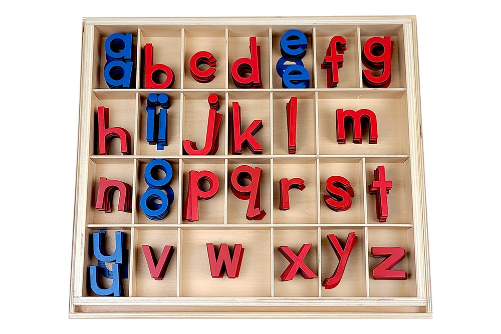 IFIT Montessori: Movable Alphabet with Box - Print