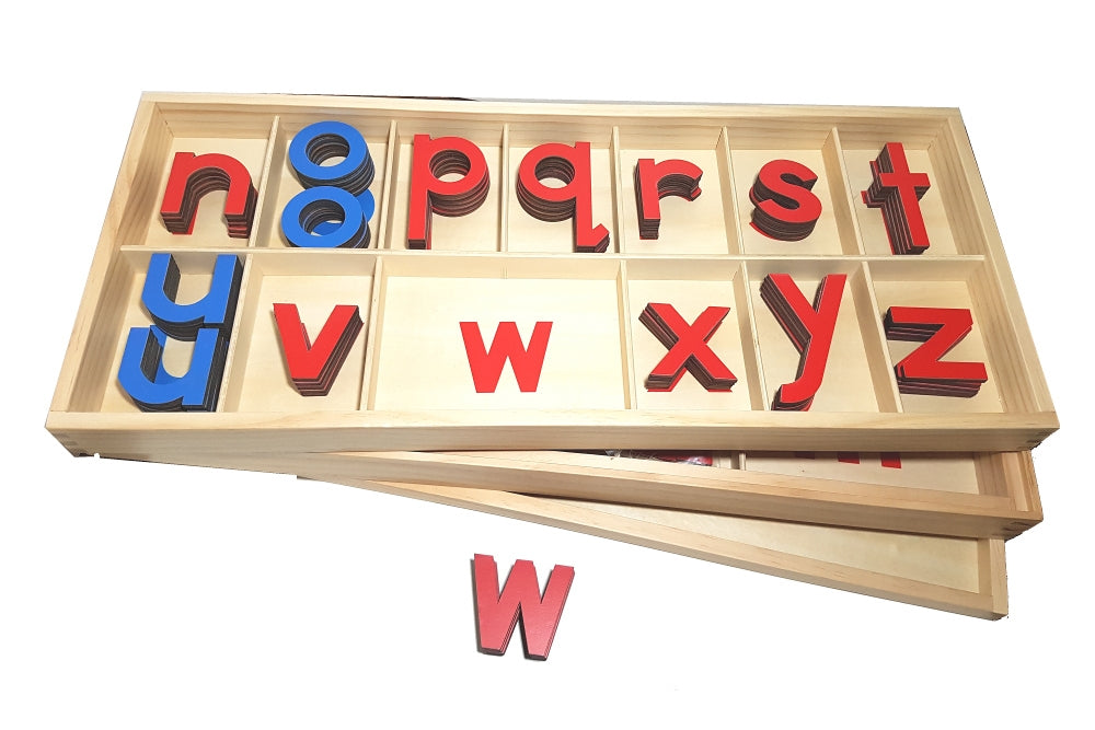 IFIT Montessori: Large Movable Alphabet - Print