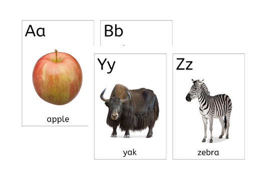 Large Alphabet Flashcards (PDF)