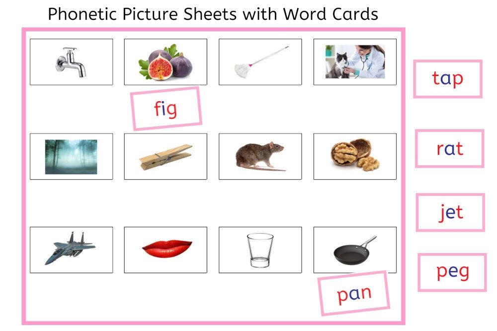 Pink Picture Sheets with Word Cards (PDF)