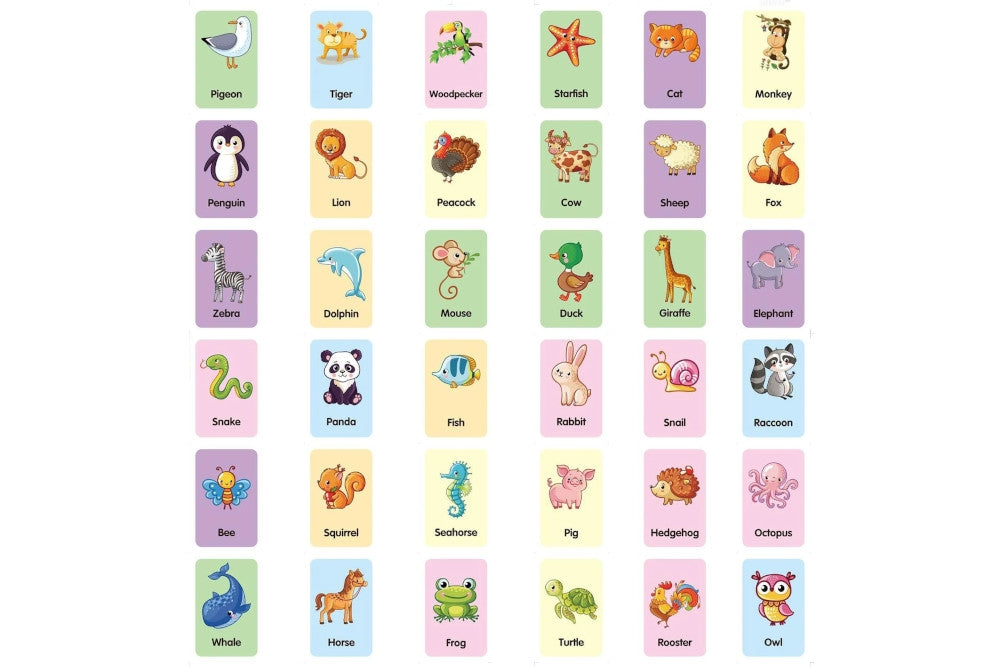 Animal Flashcards