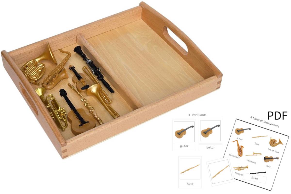 8 Musical Instrument Models with 2-Compartment Tray and PDF Cards