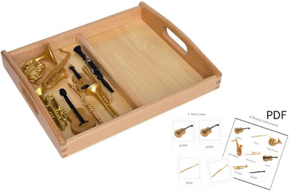 8 Musical Instrument Models with 2-Compartment Tray and PDF Cards