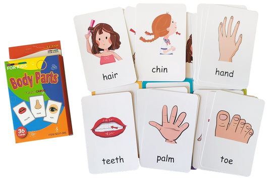 Human Body Flashcards