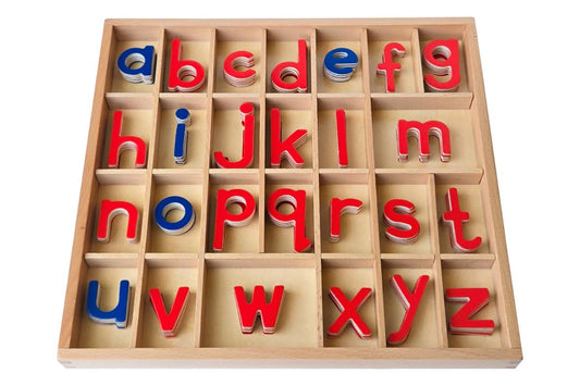 Movable Alphabet with Box - Print (Thin)