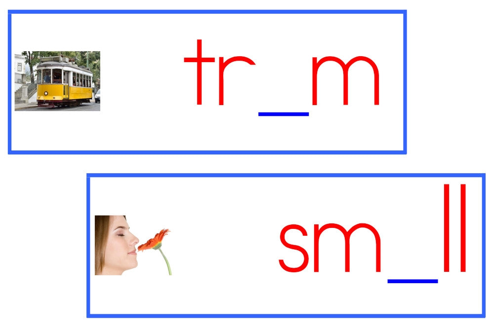 Vowel Sound Cards (Blue, PDF)