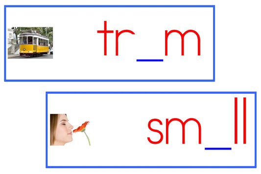 Vowel Sound Cards (Blue, PDF)