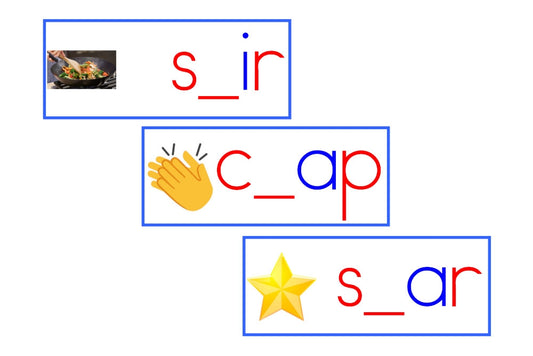 CCVC Missing Consonant Cards (PDF)