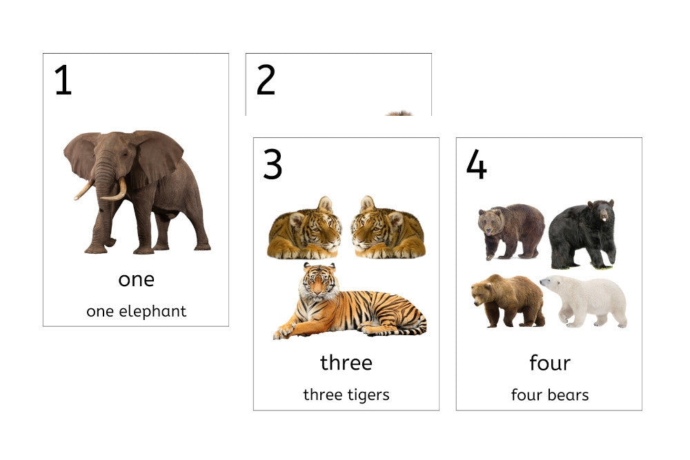 Animal Number Cards 1-20 (PDF)