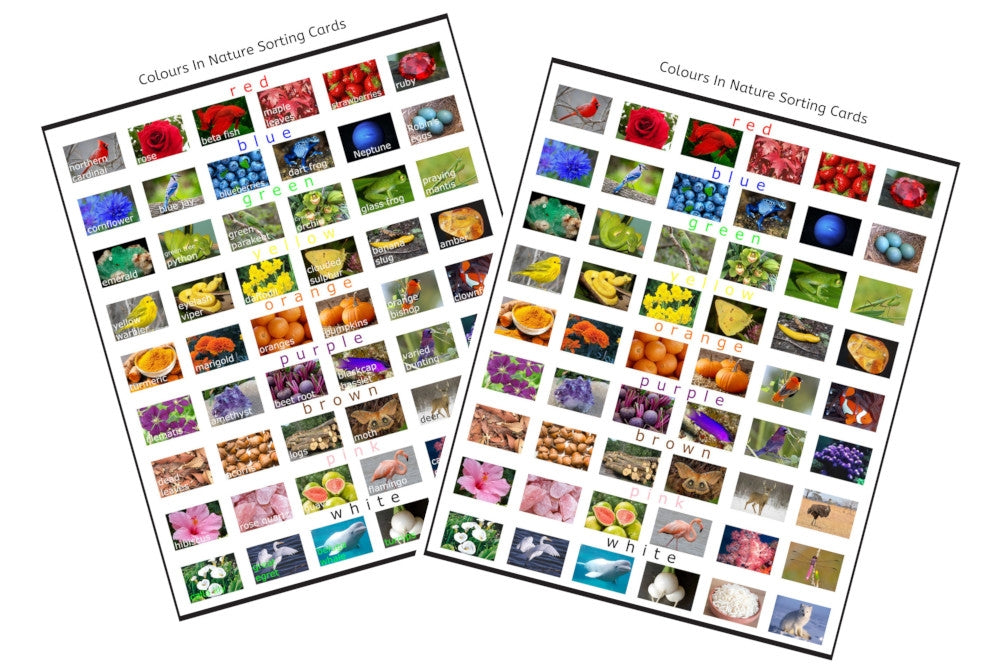 Colours In Nature Sorting Cards (PDF)