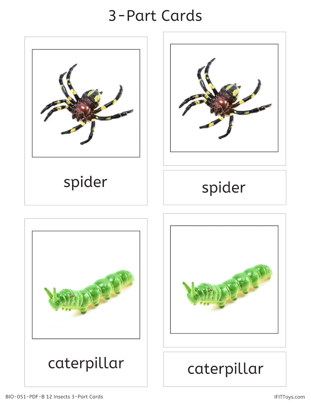 12 Plastic Insects and PDF 3-Part Cards