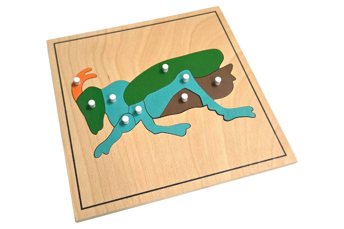 Cricket Puzzle